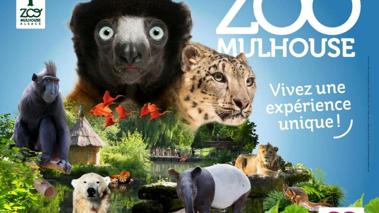 Le Panorama Du Murat Mulhouse Riedisheim 68 Haut-Rhin Alsace Saint-Louis Zewnętrze zdjęcie