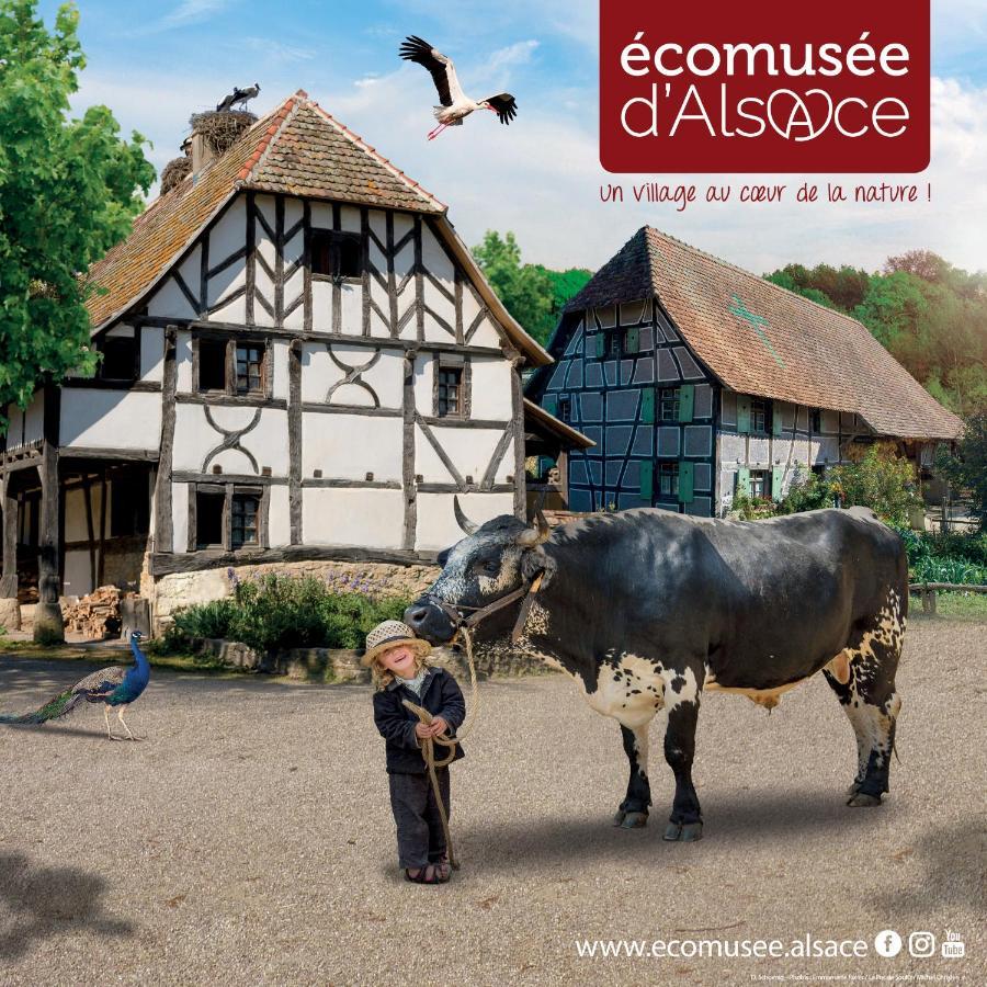 Le Panorama Du Murat Mulhouse Riedisheim 68 Haut-Rhin Alsace Saint-Louis Zewnętrze zdjęcie