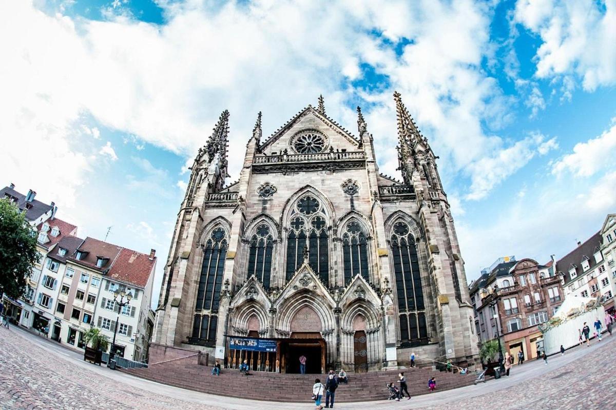 Le Panorama Du Murat Mulhouse Riedisheim 68 Haut-Rhin Alsace Saint-Louis Zewnętrze zdjęcie
