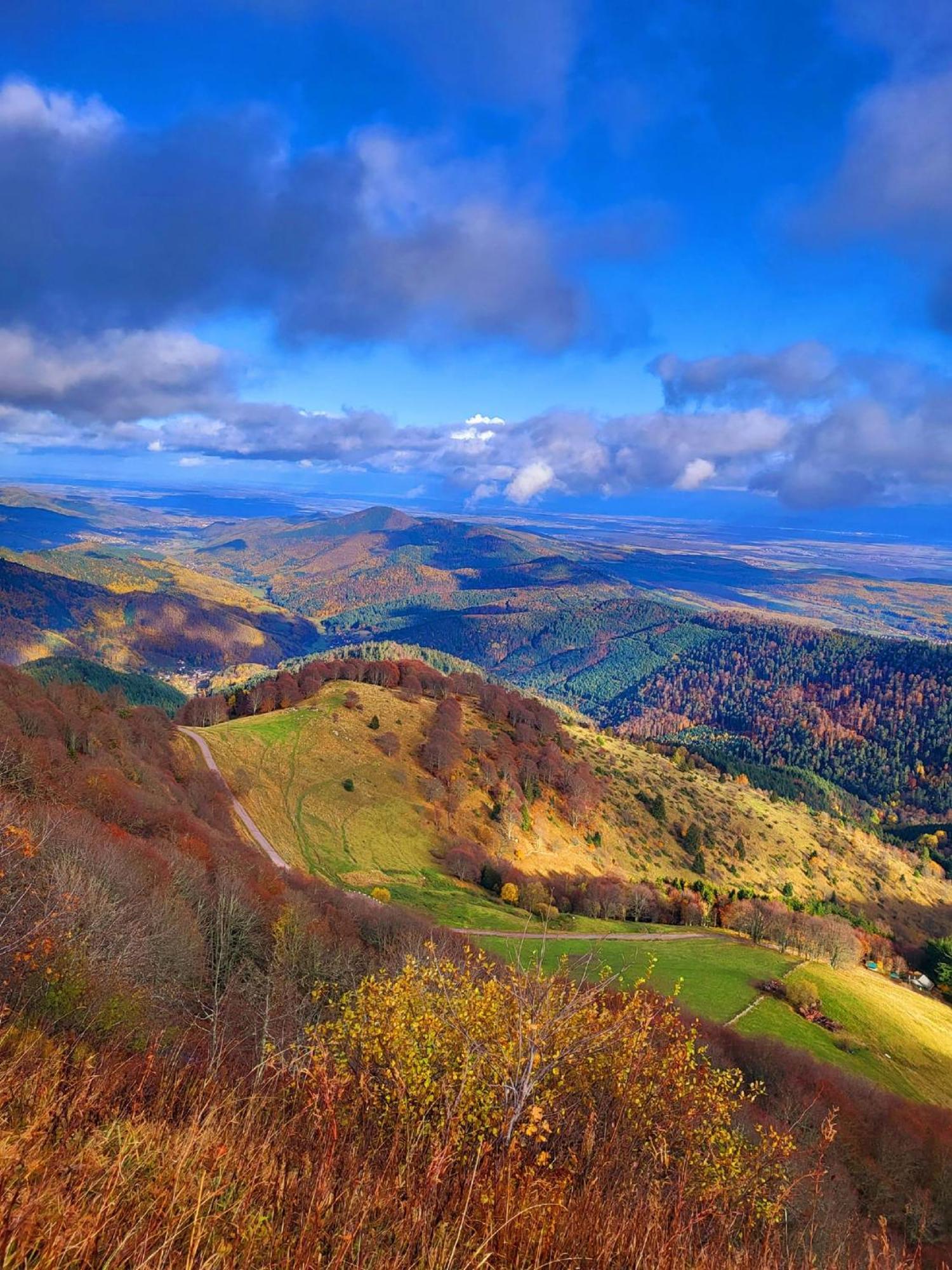 Le Panorama Du Murat Mulhouse Riedisheim 68 Haut-Rhin Alsace Saint-Louis Zewnętrze zdjęcie