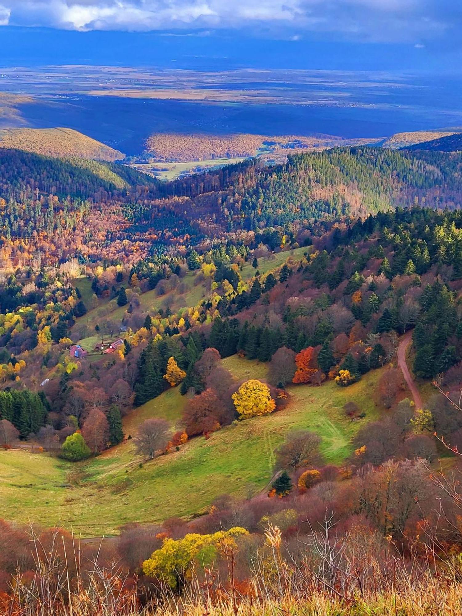 Le Panorama Du Murat Mulhouse Riedisheim 68 Haut-Rhin Alsace Saint-Louis Zewnętrze zdjęcie